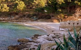 Guesthouse Torga