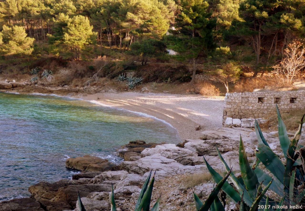 Guesthouse Torga Vis Island Exterior photo